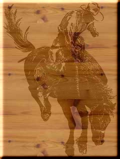 cowboy-rodeo.jpg